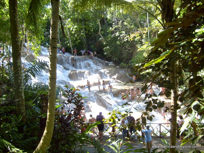 Freedom Of The Seas 6 Freedom of the Seas