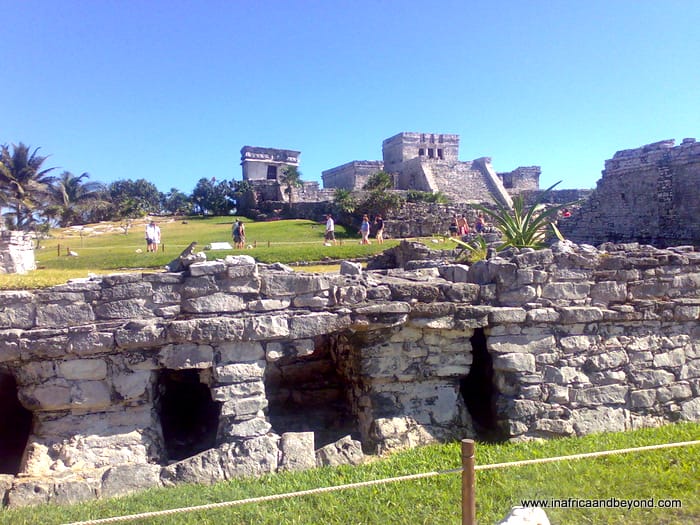 Freedom Of The Seas 8 Freedom of the Seas