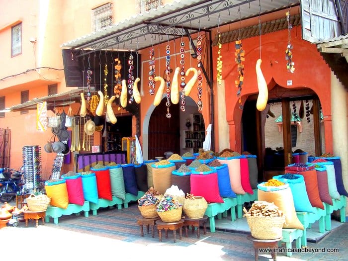 Medina of Fez - study abroad