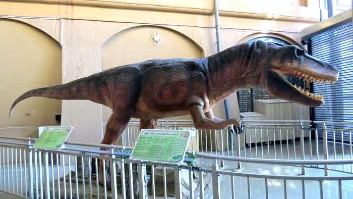 Things to do in Johannesburg – Sci-Bono Discovery Centre 4 Sci-Bono