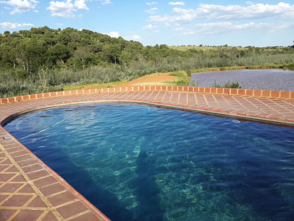 Swimming pool overlooking waterhole - African Hills Safari Lodge
