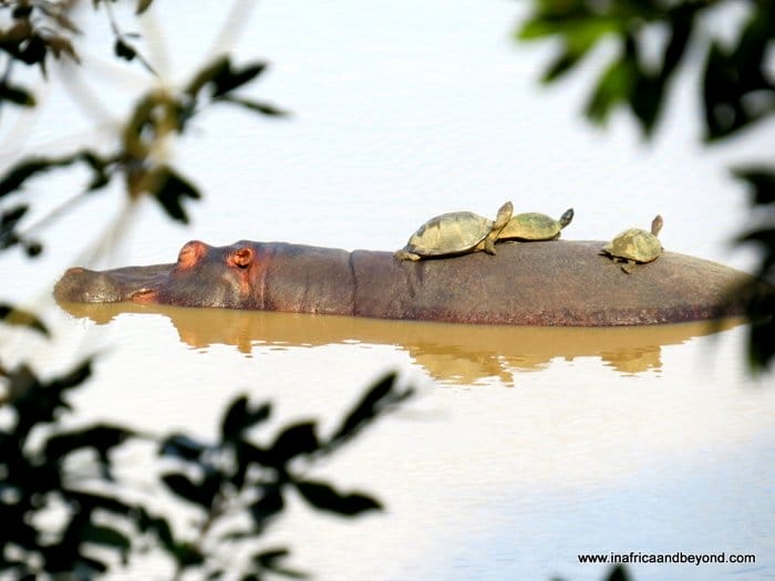Kruger National Park