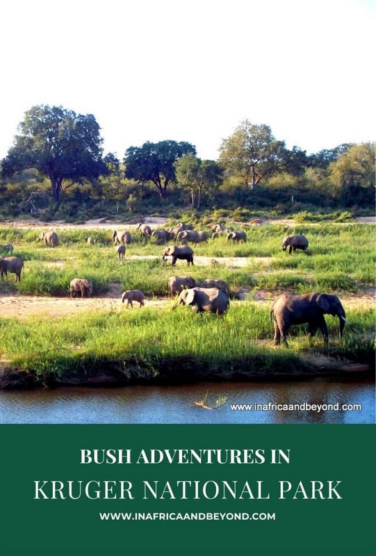 Kruger National Park