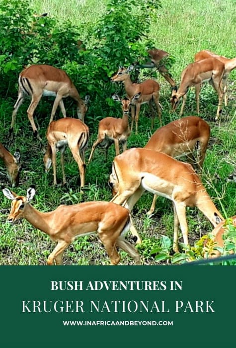 Kruger National Park