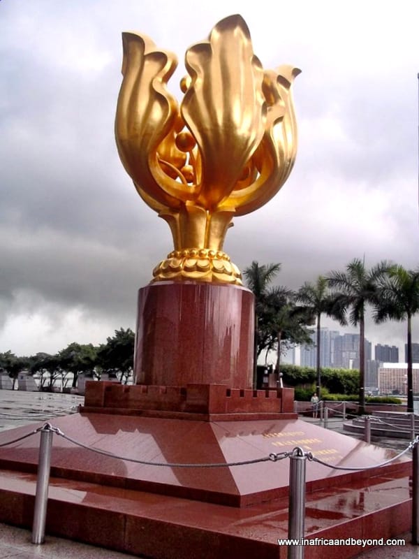 What to do in Hong Kong