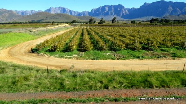 Landscape Rovos Rail