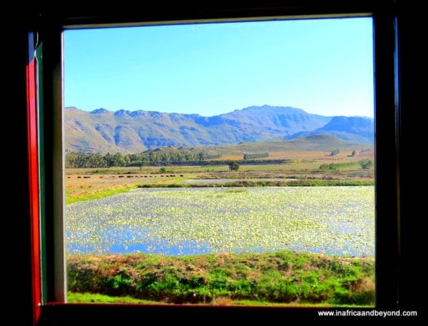 Window View Rovos Rail