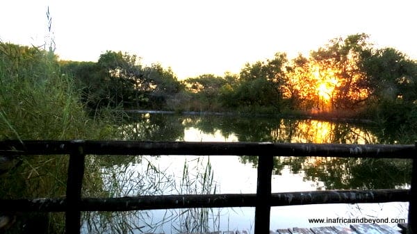 Indaba Hotel Bill Harrop's