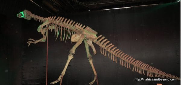 Day of the Dinosaurs