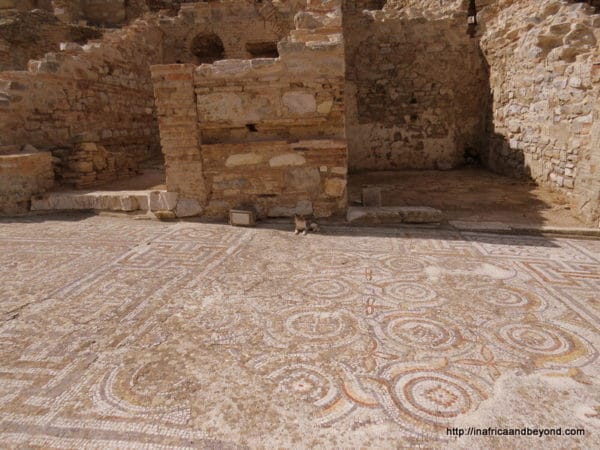 Original Floors Ephesus