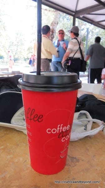 The most expensive Coca-Cola 