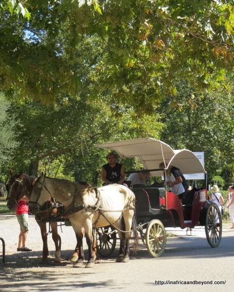 Horse and Carriage - Olympia Ancient Olympics 