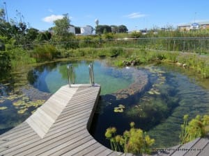 Hotel Verde eco-pool
