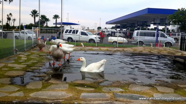 Road trip to Cape Town from Johannesburg