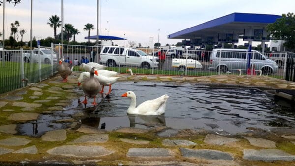 25 Tips for Travelling with Children 3 Engen Garage - Bloemfontein