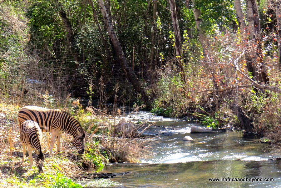 Valley Lodge and Spa
