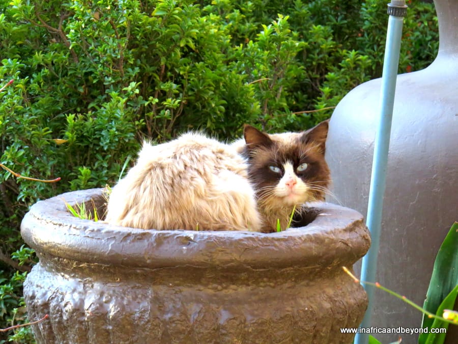 Valley Lodge and Spa