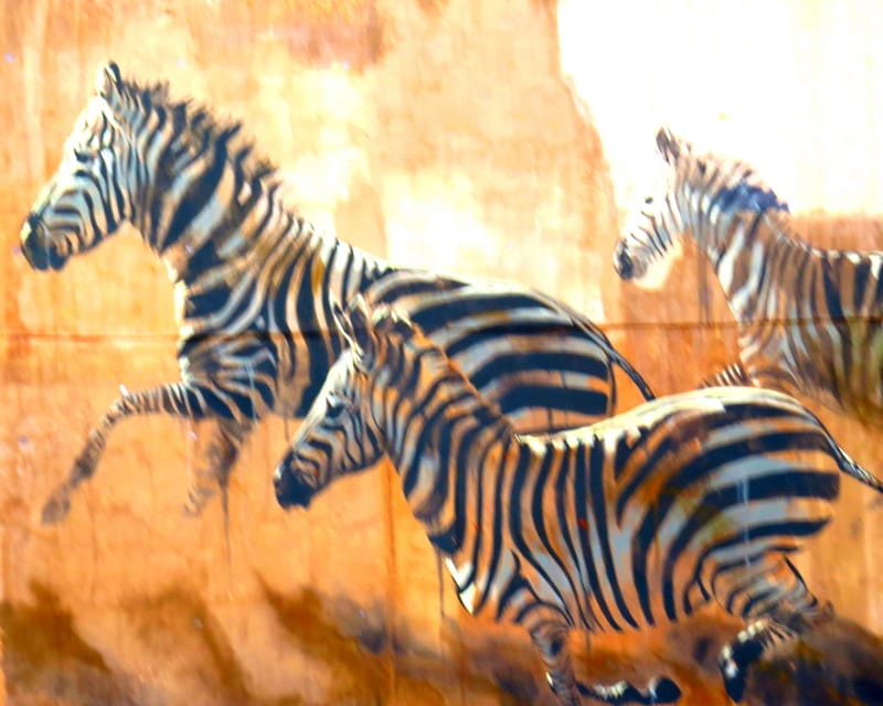 City Sightseeing Johannesburg