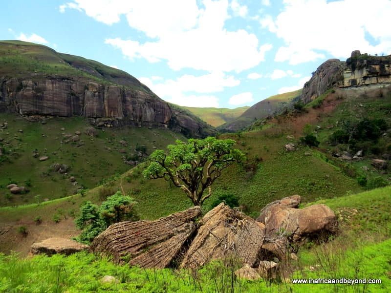 Cathedral Peak hotel