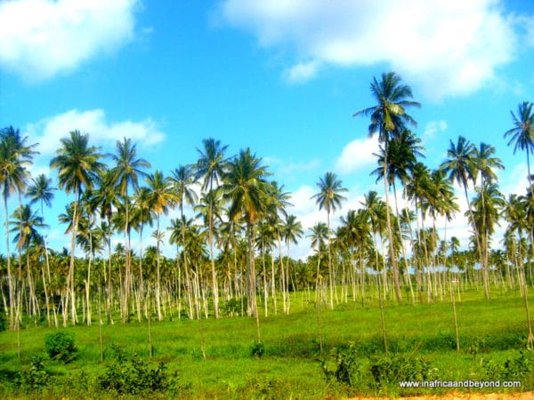 Two days in Zanzibar
