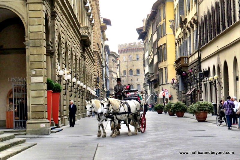 Step back in time on a tour of Florence in Italy 3 Florence