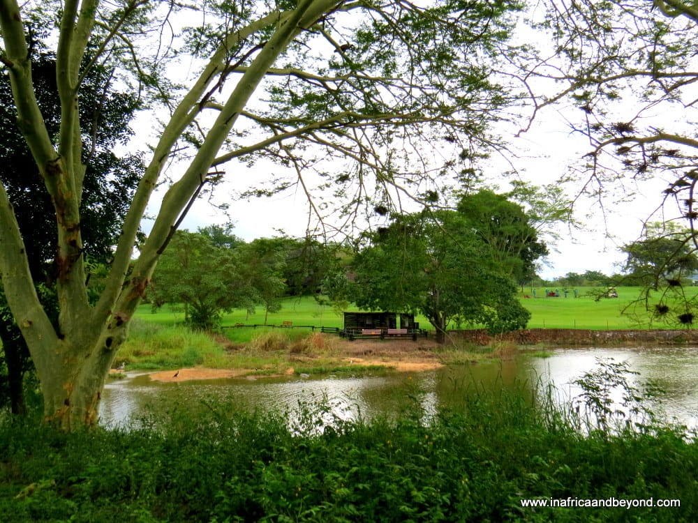 Sabi River Sun