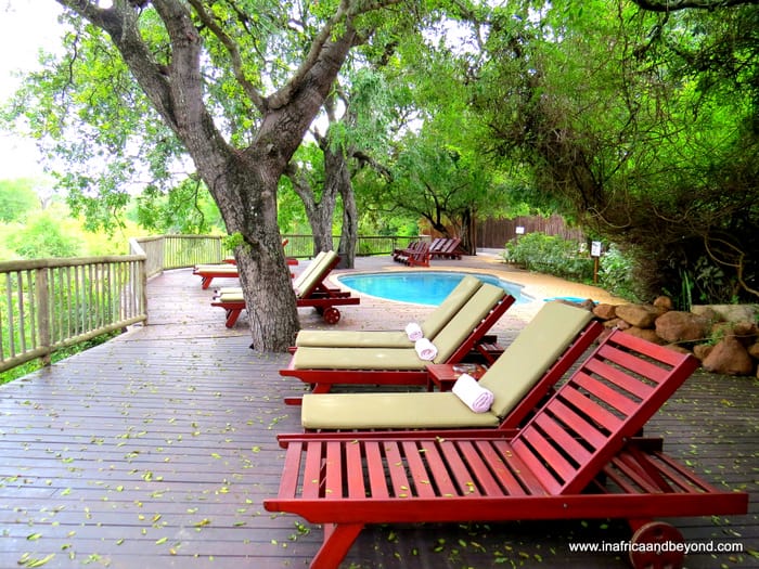 Sabi Sabi Bush Lodge