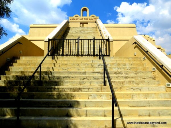 Amazon Exhibit Johannesburg Zoo 