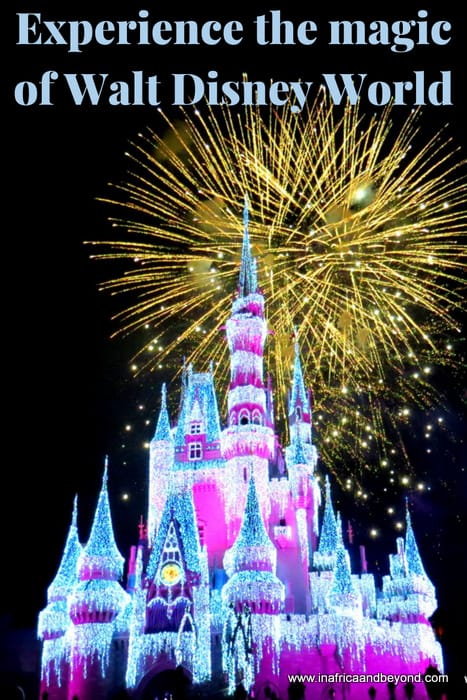 Experiencing the 4 magical parks of Walt Disney World 11 Walt Disney World
