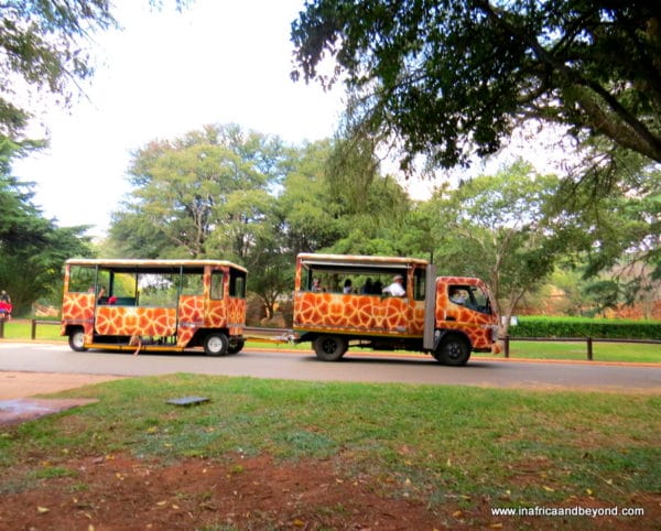 A visit to the Johannesburg Zoo
