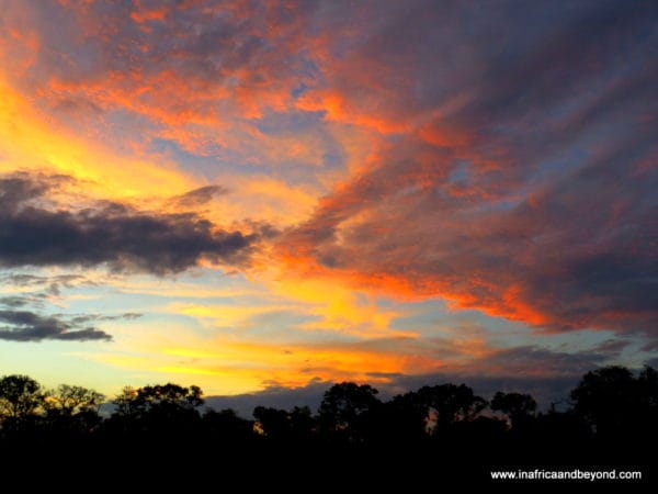 Sunset in Kruger National Park