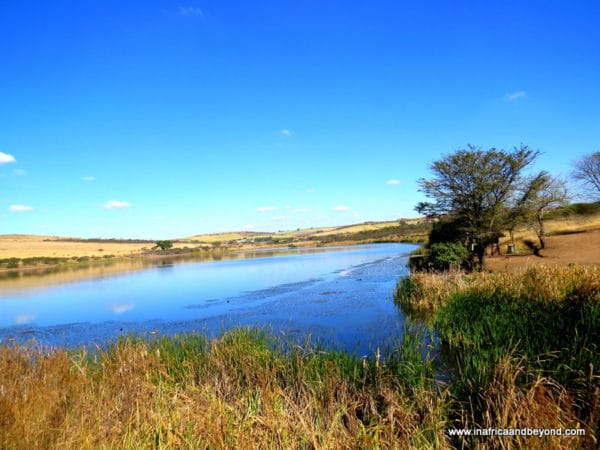 Dam Tala Game Reserve