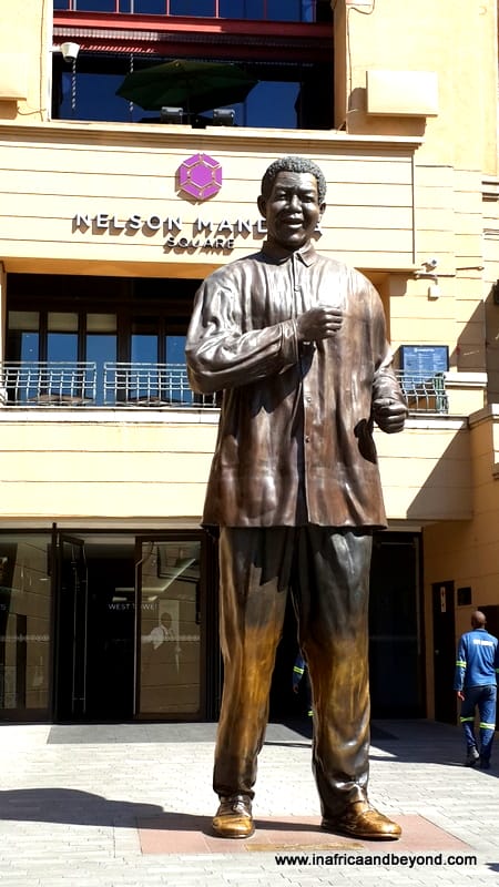 Nelson Mandela Square Cilantros
