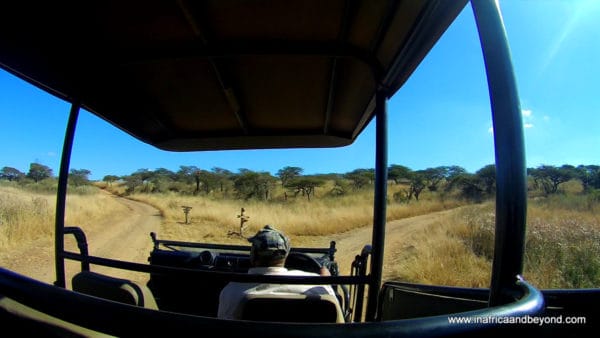 Game Drive Tala Game Reserve