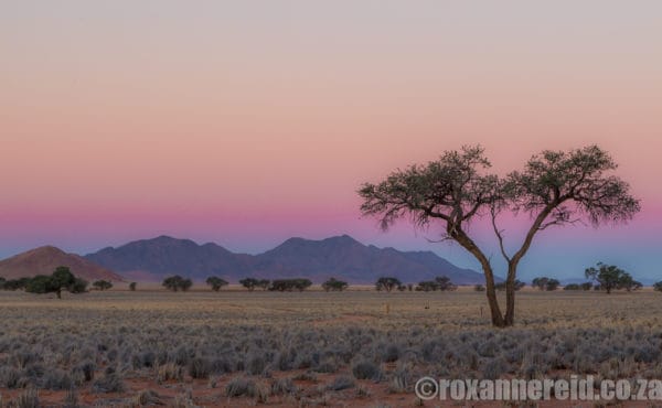 Roxanne Reid Namibia