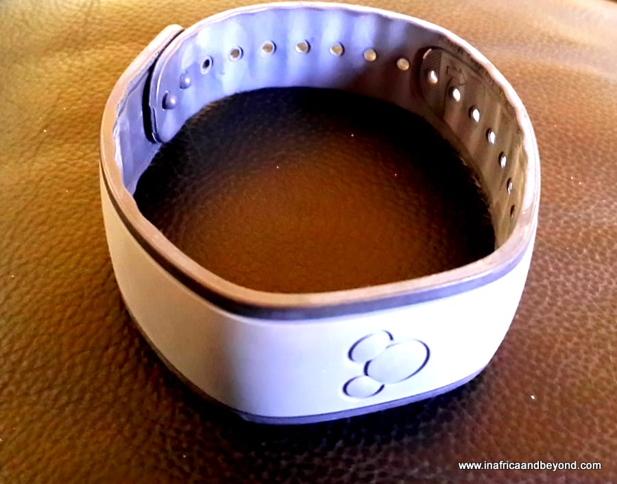 10 Useful Disney Tips to get the most out of your Disney Vacation 2 Disney tips - Disney Vacation