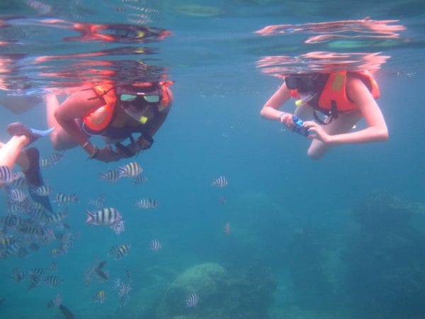 The World In My Pocket