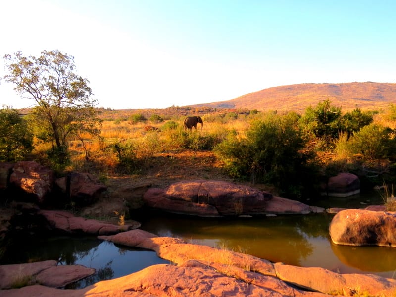 Kwa Maritane