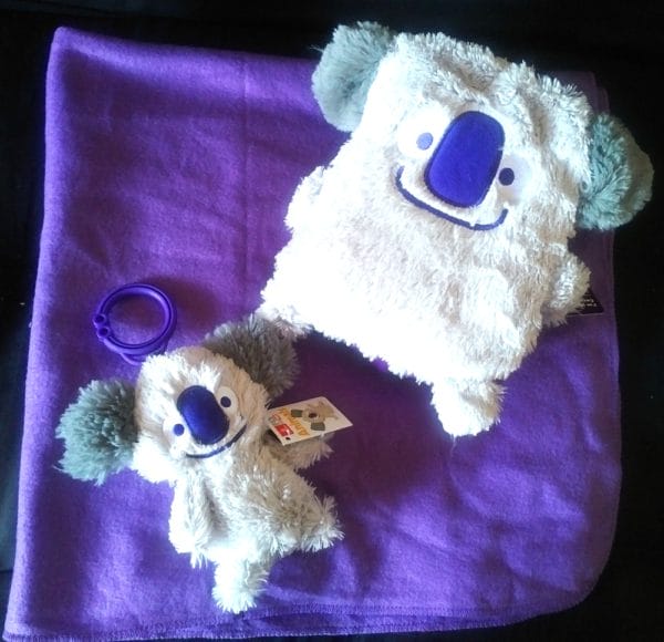 Shane, the Koala Bear Emirates