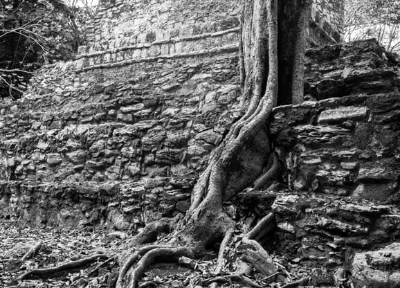 Carol Guttey Mayan ruins