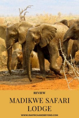 MADIKWE SAFARI LODGE