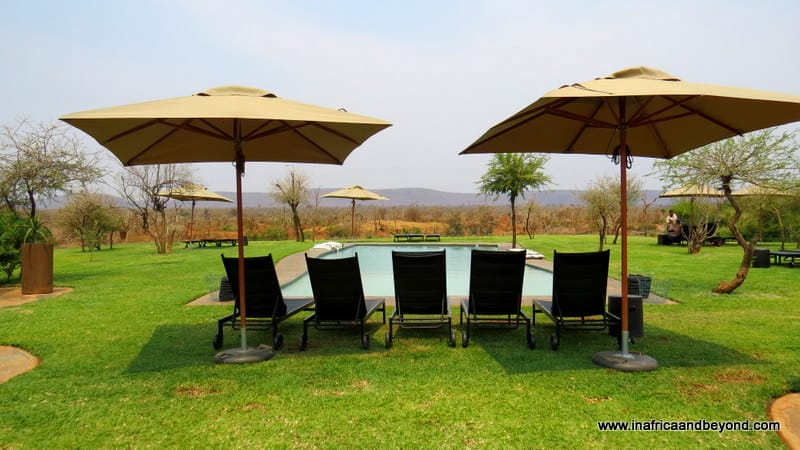 Madikwe Safari Lodge pool