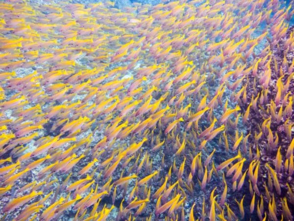 Travelling around Thailand