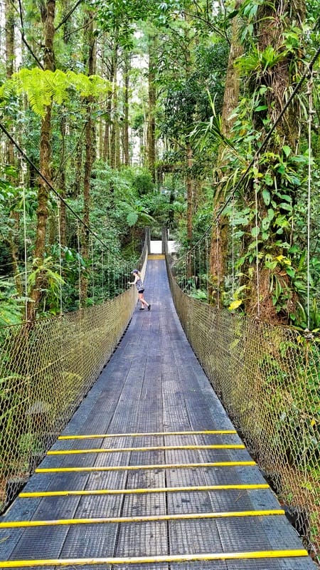 Pilot's wife Arenal Volcano Costa Rica 