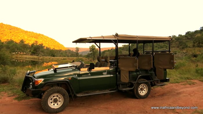 Clifftop game drives