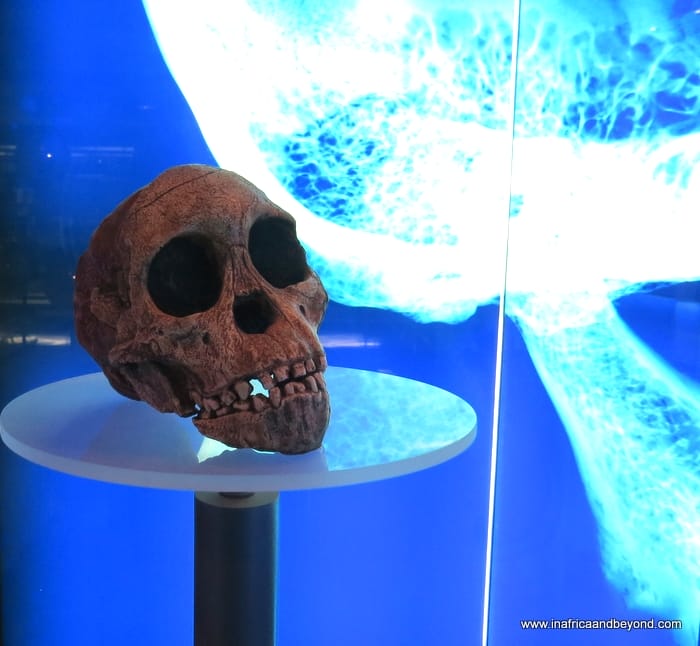 9 Best Things To Do In North West Province South Africa 3 Maropeng and the Cradle of Humankind