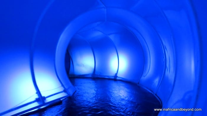 A visit to Maropeng and the Cradle of Humankind 1