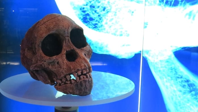 Cradle of Humankind Taung