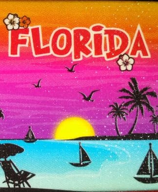 things to do in Florida