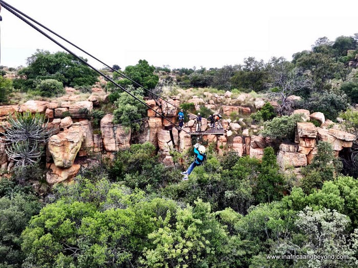 13 Fun Things To Do In Hartbeespoort And Surrounds 13 Child ziplining on Canopy Tour in Magaliesberg